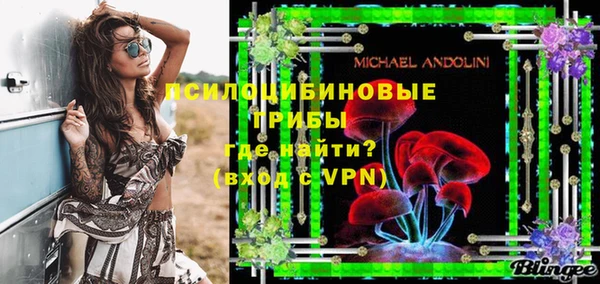 PSILOCYBIN Михайловск