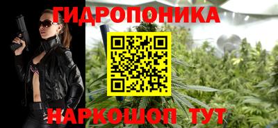 СК Кандалакша